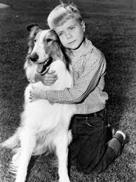 lassie & timmy