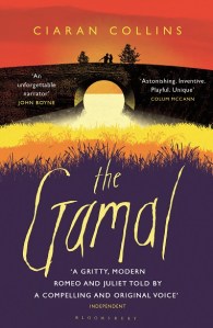 The_Gamal_MMP_lower_res