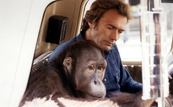 Every which way but loose